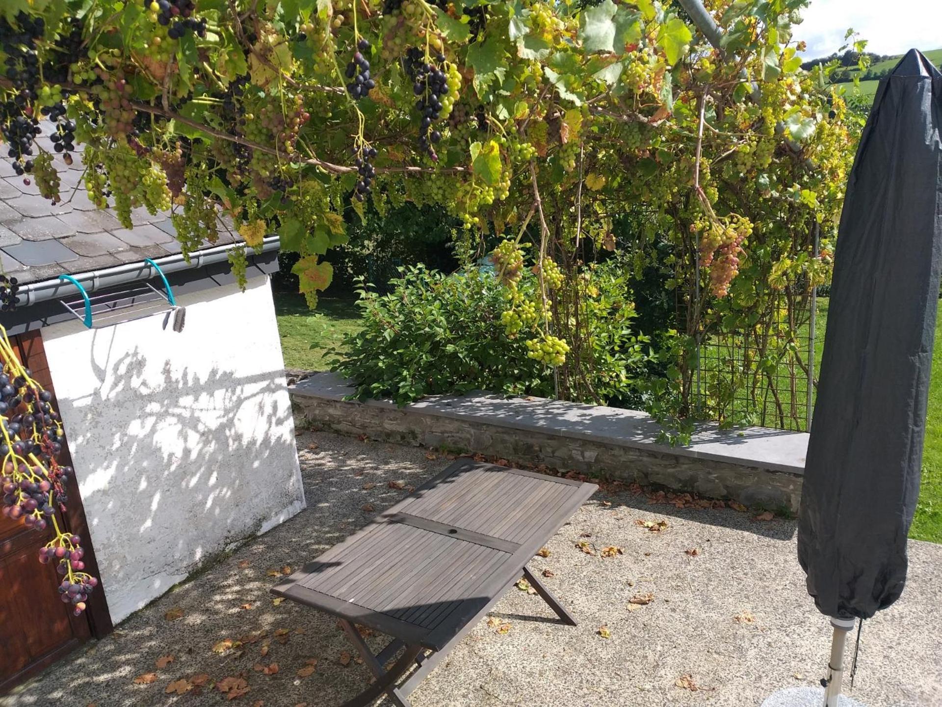 Gite L'Ecole De Ma Mere Villa Bertogne Buitenkant foto