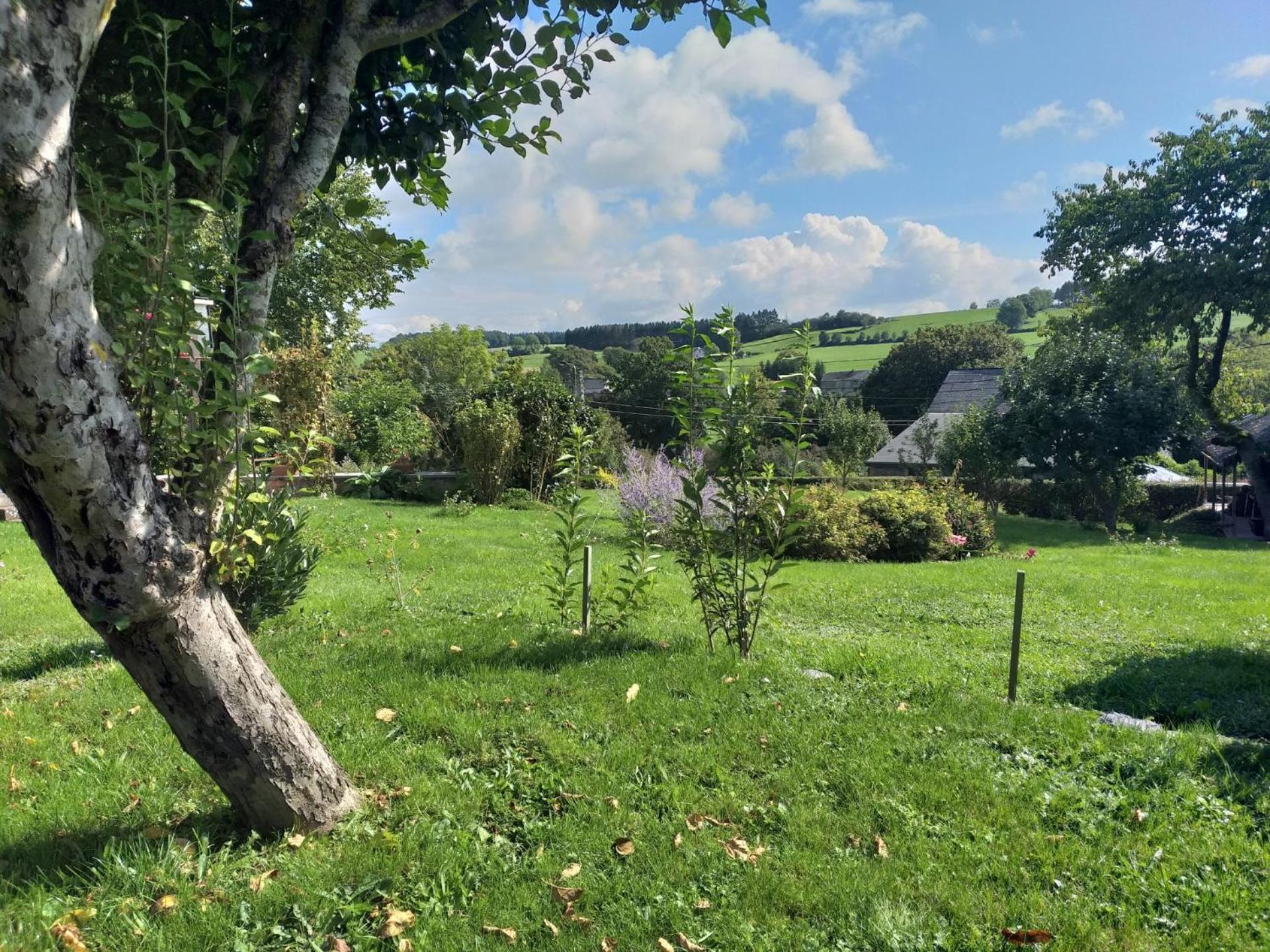 Gite L'Ecole De Ma Mere Villa Bertogne Buitenkant foto